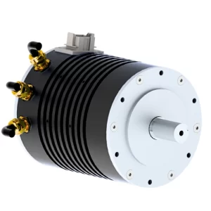 PMAC or bldc motors
